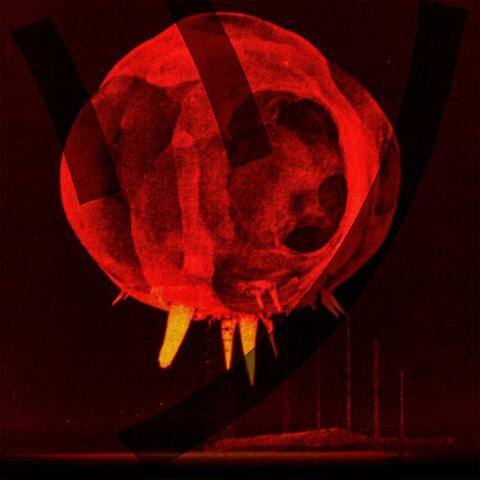 ツ album art
