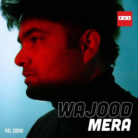 Wajood Mera album art