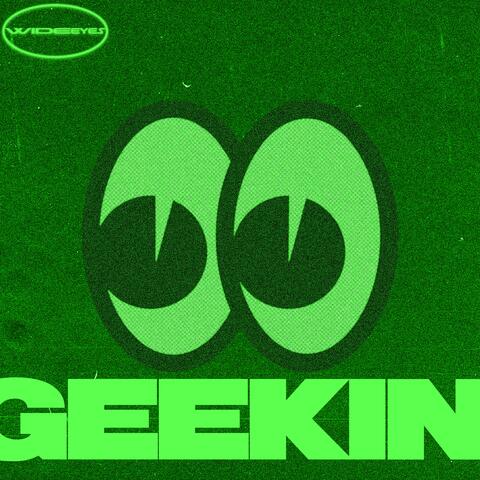 GEEKIN (feat. PANIA) album art