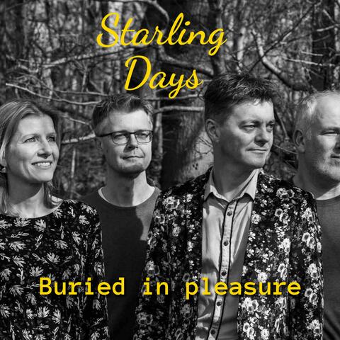 Buried in Pleasure album art