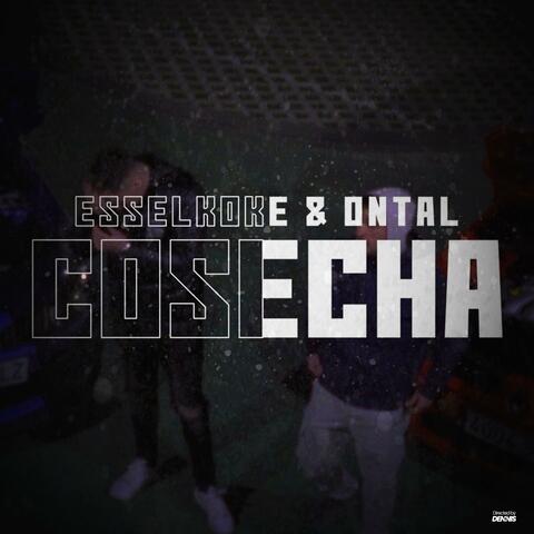 COSECHA (feat. Esselkoke) album art