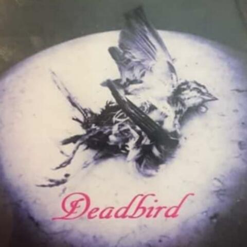 Deadbird album art
