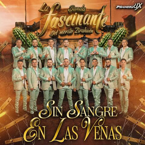 Sin Sangre en las venas album art