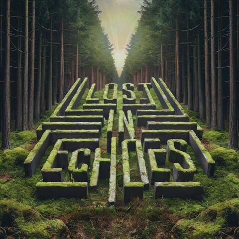 Lost In Echoes album art