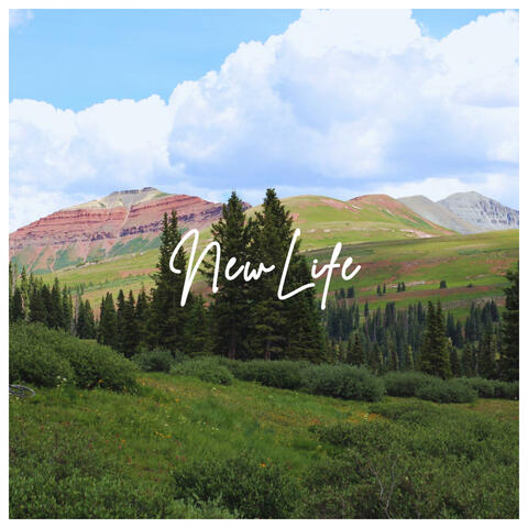 New Life album art