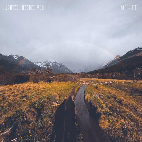 wanted, needed you album art