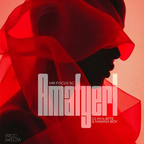 Amafyeri (feat. Dj Philbyte & Mwana Boy) album art