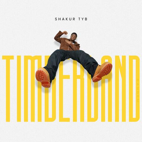 Timberland album art