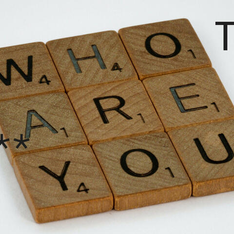 Who the Fuck are you,pt1 album art