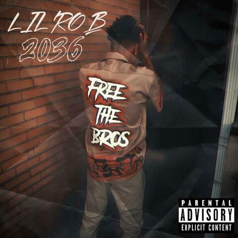 2036 album art