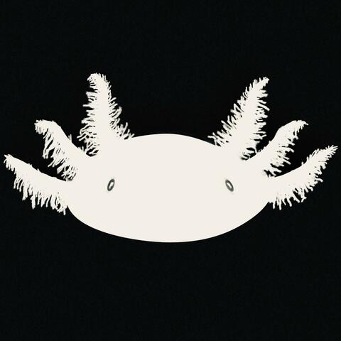 mudpuppy album art