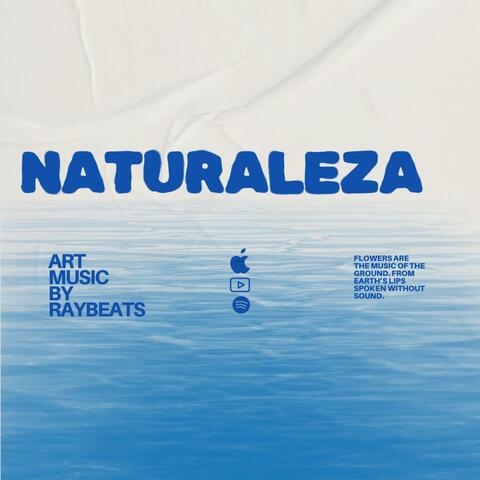NATURALEZA (Instrumental) album art