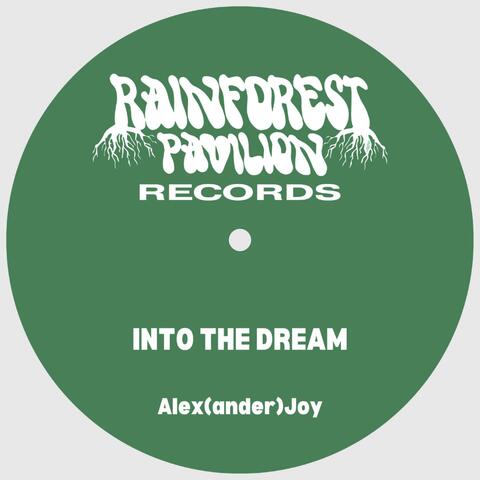 INTO THE DREAM album art