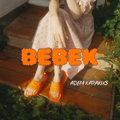 BEBEK album art