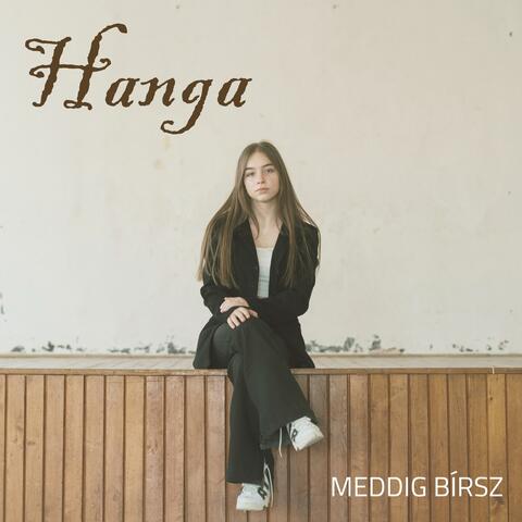 Meddig bírsz album art