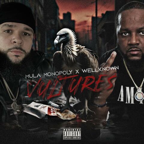 Vultures (feat. Wellknown) album art