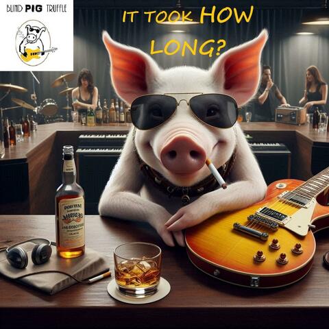 It Took HOW LONG? album art