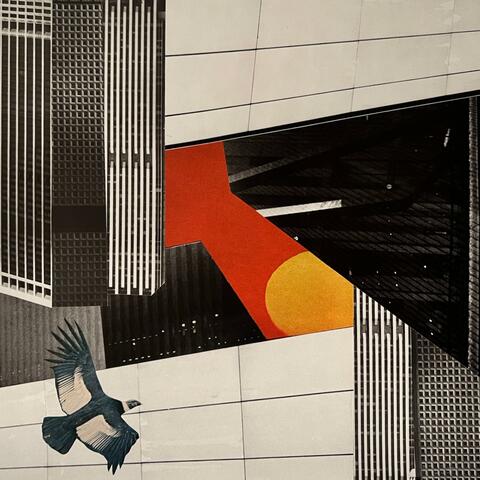 So Many Sunny Days album art