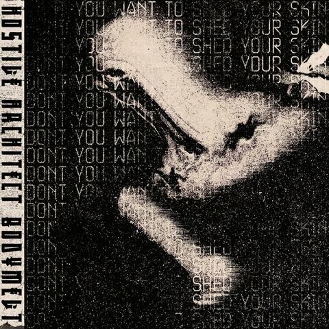 BODYMELT (NEW FLESH MIX) album art