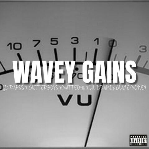 Wavey Gains album art