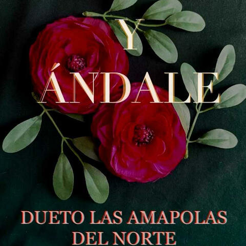 Y Andale album art