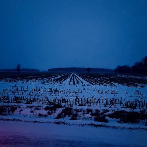 snowbank album art