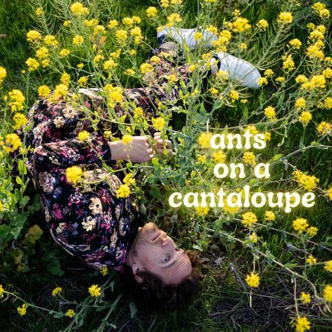 Ants On A Cantaloupe album art