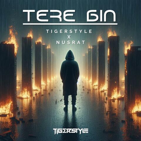 Tere Bin (feat. Nusrat) [(Original Mix)] album art