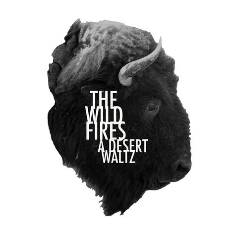 A Desert Waltz album art