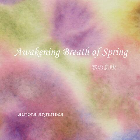 Awakening Breath of Spring album art