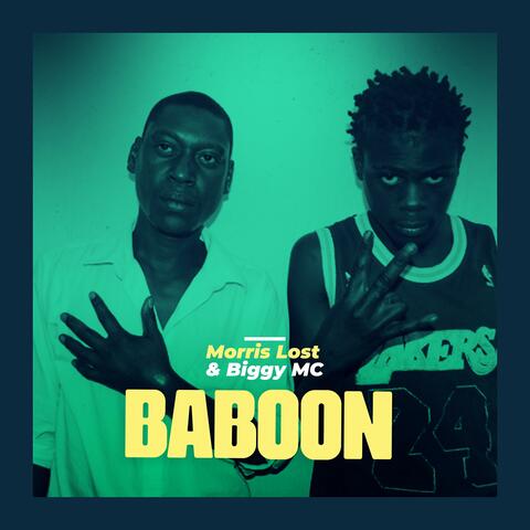 Baboon (feat. Biggy Mc & Morris Lost) album art