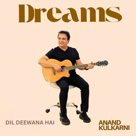 DIL DEEWANA HAI album art