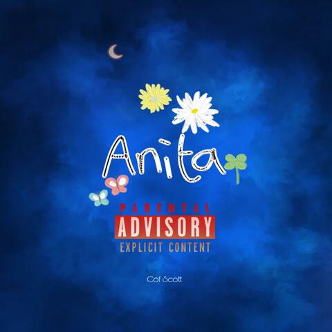 Anita album art