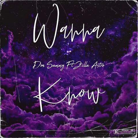 Wanna Know (feat. Don Sammy) album art