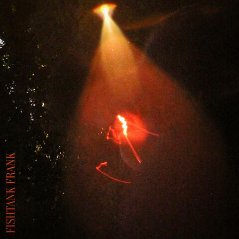 rotunda if you wonder album art