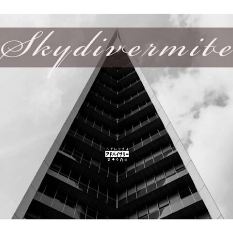 Skydiving101: Base Jump, Vol. 4 album art