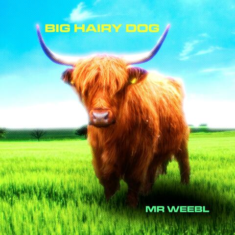 Big Hairy Dog album art