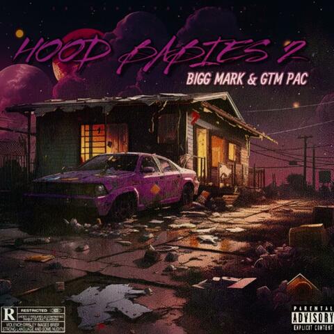 Hood Babies 2 album art