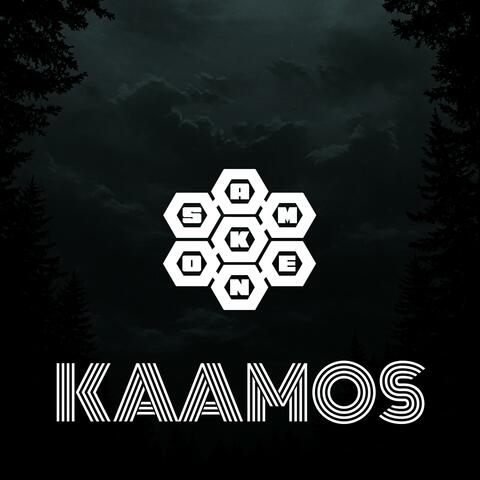 Kaamos album art
