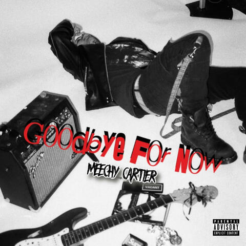 Goodbye For Now album art