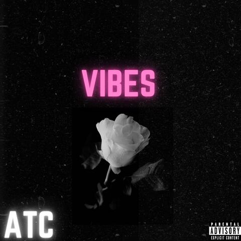 VIBES album art