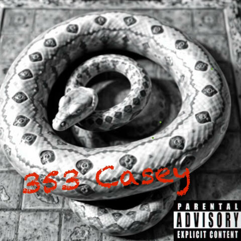 Snakes & Ladders (feat. 353Tv) album art