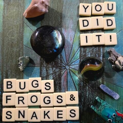 You Did It! album art
