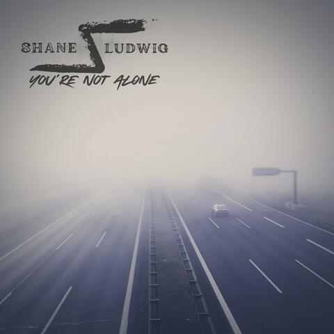 You're Not Alone album art