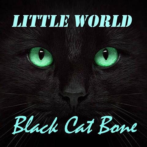 Black Cat Bone album art