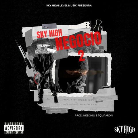 NEGOCIO 2 album art
