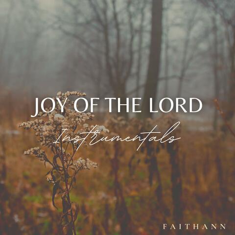 Joy of the Lord (Worship Instrumentals) album art