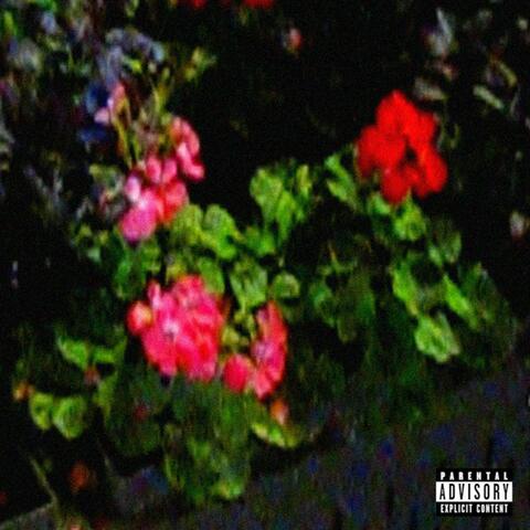 SOULFUL JOINTS 2! album art