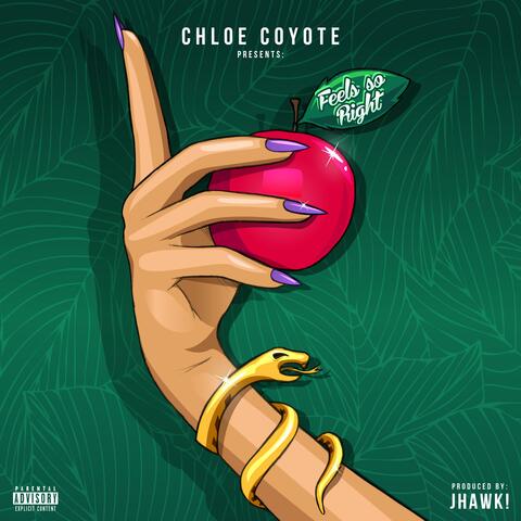 Feels So Right album art