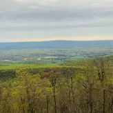 Image of MIA